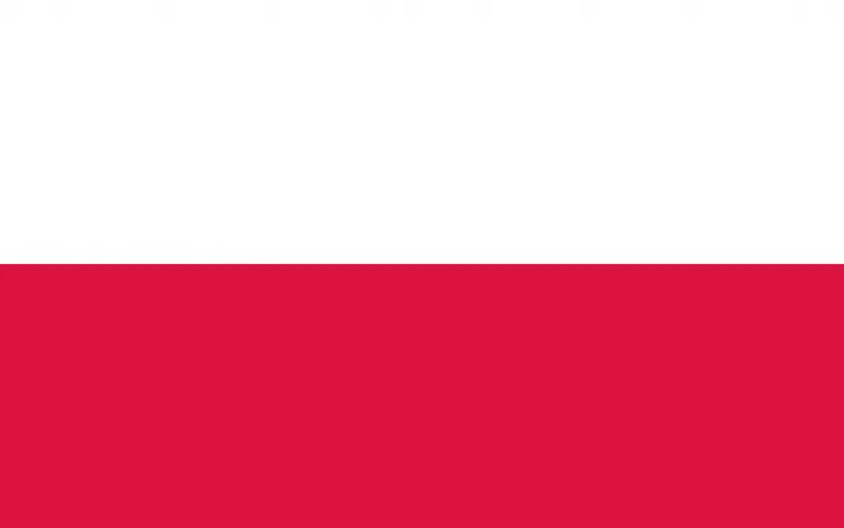 Polish Certified Translation Services in Dubai