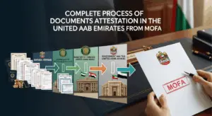 The Complete Process of Documents Attestation in the UAE Step-by-Step Guide